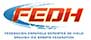 Federación Española de Deportes de Hielo